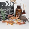 Desert Wild Animal Model Figures Playsets 6 PCS Cactus Scorpion Chameleon Armadillo Camel Fennec Fox Figurines Decoration Set Toys for Boys Girls Kids