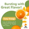 Natvites Vitamin C Gummies for Kids, Orange Flavored, Immune Support Supplement, Non-GMO, Gluten-Free, Vegan, Nut-Free, and Dairy-Free, 120 Count (Pack of 1)