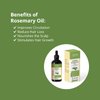 AEKONIK Pure Rosemary Essential Oil, 4 Oz , Moisturizing Hair Serum for Frizzy and Damaged Hair, Face and Skin Care -Organic Hair Growth Oil for Men and Women