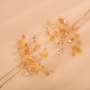 Kercisbeauty Wedding Hair Pins Crystal Hair Accessories for Women Girls Bridal Hair Clips Brides Bridesmaid Hair Dress 2pcs (Champagne Beads)