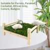 FlidRunest Bird Foraging Bed, Parrot Hammock Bed, Parrot Grass Perch Bed, Bird Perch Conure Platform Grass Forage Toy for Parakeet, Parrot, Cockatiel, Lovebird, Budgie