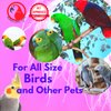 Bonka Bird Toys 2183 Pk6 Mini Sandal Foot Beak Chew Throw Parrot Parakeet Quaker Budgie Finch Cockatoo