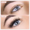 Curacoro Promade Wispy 500 Fans - Wispy Lash Extensions 9D 0.05, Handmade Volume Promade Eyelashes Fans, C CC D Curls, 9-17mm Length, Professional Long-Lasting Promade Lash Fans (9D 0.05 D 16 mm)