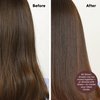 dpHUE Gloss+, Auburn - 6.5 oz - Semi-Permanent Hair Color & Conditioner - Lasts Up to Eight Washes - Paraben, SLS & SLES Sulfate Free - Vegan, Leaping Bunny Certified