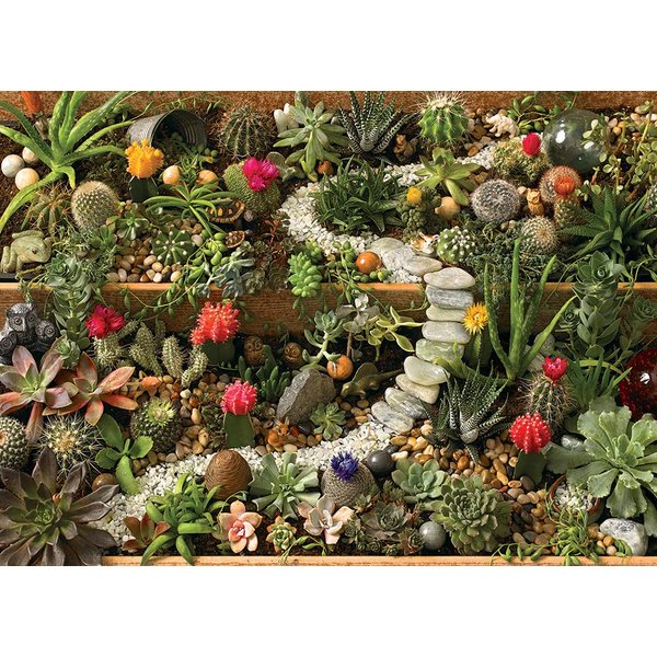 Cobble Hill 1000 Piece Puzzle - Succulent Garden - Sample Poster Included