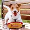 MLB Philadelphia Phillies Plush Dog Toys - Stadium Theme Snacks - Cutest Plush HOT-Dog Toy for Dogs & Cats with Inner Squeaker & Premium Embroidery of Baseball Team Name/Logo