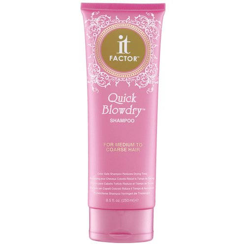 It Factor – Quick Blow Dry Shampoo – For Medium To Coarse Hair – Professional Grade Salon Quality Hair Care - Hairdresser Pros Love It – Original Formula