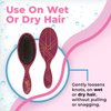 Wet Brush Original Detangler Hair Brush - Free Spirit, Sangria - All Hair Types - Ultra-Soft IntelliFlex Bristles Glide Through Tangles with Ease - Pain-Free Comb for Men, Women, Boys and Girls