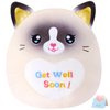CozyWorld 13.5" Get Well Soon Cat Plush Pillow Soft Cute Cat Stuffed Animal Get Well Soon Gift for Women Girls Kids Patient Feel Better Plush Toy