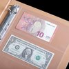 100 Sheets Currency Pages for Paper Money Collection - 3 Pockets Currency Sleeves/Currency Holder Collecting Album Pages for Paper Money Bill Banknote Coupon IN02100