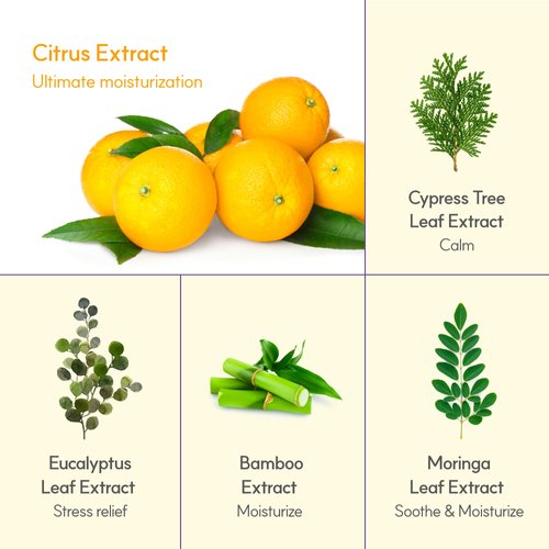 FRUDIA WELCOS Brightening Micro Cleansing Foam | Face Cleanser for Men & Women | Face Wash for Dry Skin & Sensitive Skin | Vitamin C Cleanser Facial Cleanser (Pack of 1, 4.9 fl. oz)