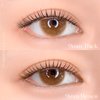 CCAMBBAK Original Pair Looks So Natural False Eyelashes Handmade Lightweight Individual Lashes Extension Lengthening Wisps K-Beauty Authentic Fake Eyelashes (12mm Thick Pair(Black))