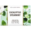 Bath and Body Works Bar Soap 2 pack (Eucalyptus Spearmint)
