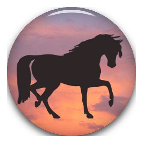 Golf Ball Marker 3/4", Assorted Animal Designs to Chose from - Black Horse Silhouette