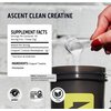Ascent Clean Creatine Monohydrate Powder - 5G Per Serving, Creapure Creatine Supplement - Unflavored, 45 Servings