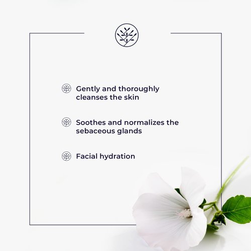 Naturativ Cleansing Milk | Removes Impurities, Breakouts, Soothes, Fight Free Radicals | Argan oil, Sea Mayweed Extract| 200 ml