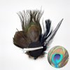 Comidox Hair Clip, Cute Peacock Feather with Rhinestones, Charming Peacock Headpiece Feather Hair Accessories for Women, Weddings, Parties, Halloween, Set of 2