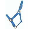 Hamilton 1-Inch Nylon Adjustable Quality Horse Halter with Adjustable Chin, Small Size