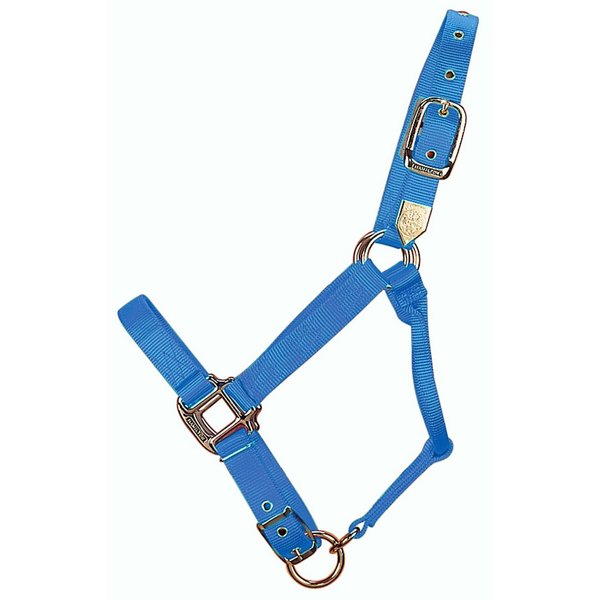 Hamilton 1-Inch Nylon Adjustable Quality Horse Halter with Adjustable Chin, Small Size