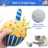 BINGPET Cat Birthday Catnip Toys for Indoor Cats,Cat Birthday Hat and Cat Birthday Cake Interactive Plush Kitten Chew Toys,Cute Cake, Fish,Balloon Toys with Crinkle Paper and Catnip Inside Cat Gifts