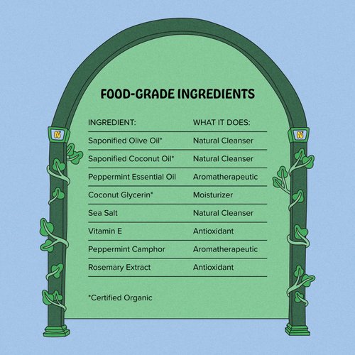 Naked Feast Peppermint Soap, Pure Castile Soap Liquid, Olive Oil Based, Organic, Vegan, Natural Bath Body Wash and Hand Soap Gel Cleaner - 16 oz