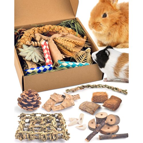 Bissap Rabbit Chew Toy, Natural Bunny Treats Snacks with Timothy Hay Water Grass Mat Coconut Husk Box for Guinea Pigs Chinchillas Hamsters Gerbils and Other Small Pets Teeth Grinding