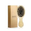 RAIN’S SECRET Mini Hair Brushes for Women Men Kid,Pocket Size hair brush, Wet/Dry Hair Smoothing Massaging Detangling,Scalp Massage, Pocket Detangler for Outing or Travelling
