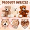 HyDren 6 Pcs Bears Bulk Stuffed Animal Small Bears Baby Shower Bears Plush Toys Employee Appreciation Easter Graduation Gifts(White, Brown, Beige, Long Plush)