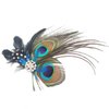 Peacock Feathery Hair Clip, Cute Retro Carnival Party Hairpin, Wedding Dance Party Hair Accessory, Bridesmaid Gift Peacock Accessory(size:10-15cm)