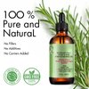 Rosemary Oil for Hair Growth, Rosemary Essential Oil, 100% Pure Natural, Reduce Hair Loss, Deeply Nourishing Scalp, Improves Blood Circulation