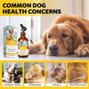 Yeast Infection Treatment for Dogs, Natural Yeast Infection Treatment Drops for Dog Itch Relief, Dog Allergy Relief, Dog Yeast Ear Infection Treatment, 2.02fl.oz
