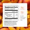 Supergut Foundational Daily Fiber Powder, Sugar Free & Vegan Prebiotic Fiber Blend for Gut Health & Digestive Support, Supplement for Men & Women with Solnul & Sunfiber, Peach Mango, 18 Servings