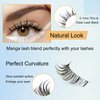 Anime Lashes With Clear Band Korean Lashes 13mm Natural Manga Look Eyelashes Wispy Anime Eyelashes 10 Pairs False Lashes Japanese Korean Natural Lashes Asian Lashes by Obeyalash