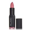 Palladio Herbal Matte Lipstick, Scarlet, Creamy and Full Coverage Long Lasting Matte Lipstick