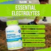 NutriBiotic Essential Electrolytes, 100 Ct Capsules | Supports Increased Performance & Faster Recovery | Pharmaceutical Grade Vitamin C with Electrolytes for Rehydration | Vegan, Gluten-Free & Non-GMO