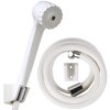 HealthSmart Modern Handheld Shower Head with 6 Foot Hose, Detachable, Unfinished