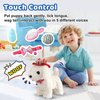 White Labrador Walking Dog Barking Dog for Child Kid Licking Puppy Talking Dog with Leash, Interactive Robot Dog Tail Wagging Singing Plush Lab Dog Stuffed Dog Pretend Dress Up Christmas Girl Boy Gift