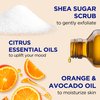 Dr Teal's Shea Sugar Body Scrub, Citrus with Essential Oils & Vitamin C, 19 oz