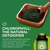 HealthForce SuperFoods Chlorella Manna - Powder - 100 Grams