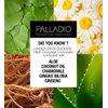 Palladio Under Eyes Disguise Full Coverage Concealer, Green Tea, 0.35 Ounce