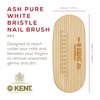 Kent NB3 Natural Bristle Fingernail Brush and Hand Scrub Brush for Nails. Beechwood Finger Nail Brush to Clean Nails and Nail Scrubber Brush for Hands, Feet, Fingernails, and Toenails. Made in England