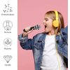 Minrnovas Microphone Toy for Kids Pretend Microphone Toy Plastic Microphone Fake Microphone Prop for Birthday Party Favors Pretend Play or Costume Prop Teen Boy Girl Gifts (Black-17cm)