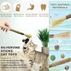 HylderS Interactive Cat Toys for Indoor Cats,4PCS Retractable Cat Feather Toy, 2PCS Silvervine Sticks Catnip Toys for Teeth Cleaning,2PCS Bouncy Ball Cat Toy w/Tail,Kitten Toys for Chasing Exercise