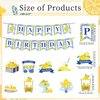Refavor Lemon Birthday Party Decorations - 10PCS Capri Lemon Happy Birthday Banners Hanging Swirls Decorations Lemon Party Decorations Amalfi Coast Party Decorations Lemon Birthday Party Supplies