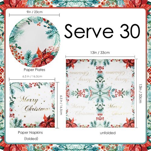 Christmas Paper Plates and Napkins Set Watercolor 60 Pieces Poinsettia Party Dinnerware Set Disposable Tableware Christmas Party Supplies Table Decorations
