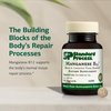Standard Process Manganese B12 - Supports Bone & Connective Tissue Health - Hemoglobin Formation Support - Gluten-Free, Non-Dairy & Non-Soy - 90 Tablets (90 Servings)
