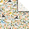 Jillson Roberts 24 Sheet-Count Premium Printed Tissue Paper Available in 8 Different Floral Designs, Birdies