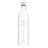 ALOXXI Violet Shampoo - Purple Shampoo for Blonde Hair - Instantly Brightens & Washes Away Brassy Yellow Tones on Blonde, White & Grey Hair - Paraben Free & Sulfate Free, 10.1 Fl Oz