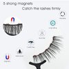 Alcastar Magnetic Eyelashes Natural Look,Magnetic Lashes With Eyeliner,magnetic eyelash kit,Easy Reusable Magnet Lashes,Waterproof, Long Lasting,Cruelty Free,10 pairs
