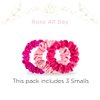 TELETIES - Small Scrunchie - 100% Natural Silk Hair Scrunchie - Soft & Gentle on Hair - Prevents Breakage & Damage - Safe for Sleep - Ideal for Thin-Medium Hair - For All Hair Textures - Rose All Day